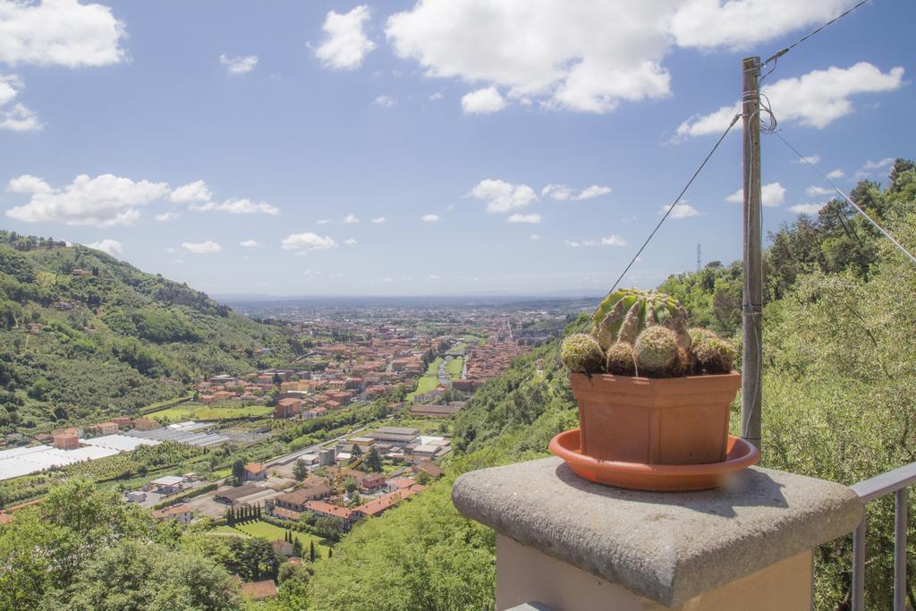 Podere Scoglio D'Oro Pescia Dış mekan fotoğraf